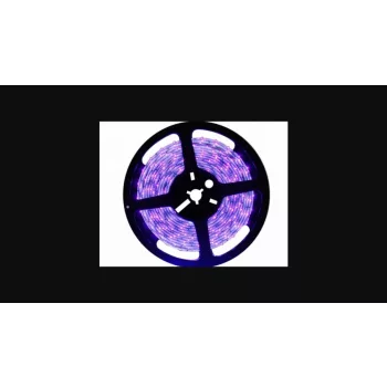   LEDmaster Prémium 60 LED/méteres 12 V-os kültéri lila LED szalag 5m/ tekercs