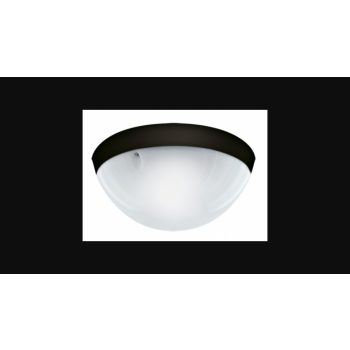   Strühm Aqua Dolunay fekete mennyezeti kültéri lámpa  E27-es foglalattal  mozgásérzékelős