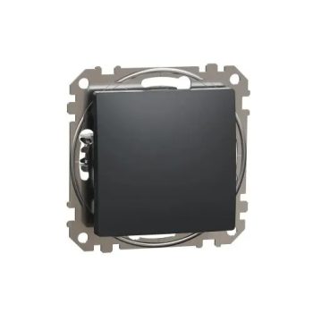   SednaÚj 101 1P kapcsoló betét adapterrel antracit süllyesztett rugós IP20 Schneider SDD114101